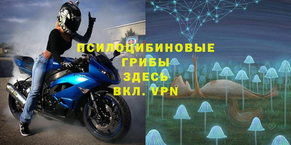 мдпв Богородск