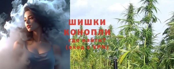 мдпв Богородск